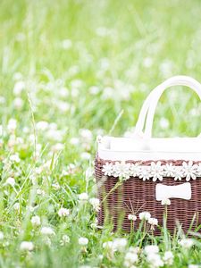 Preview wallpaper basket, flowers, grass, field, meadow