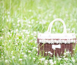 Preview wallpaper basket, flowers, grass, field, meadow