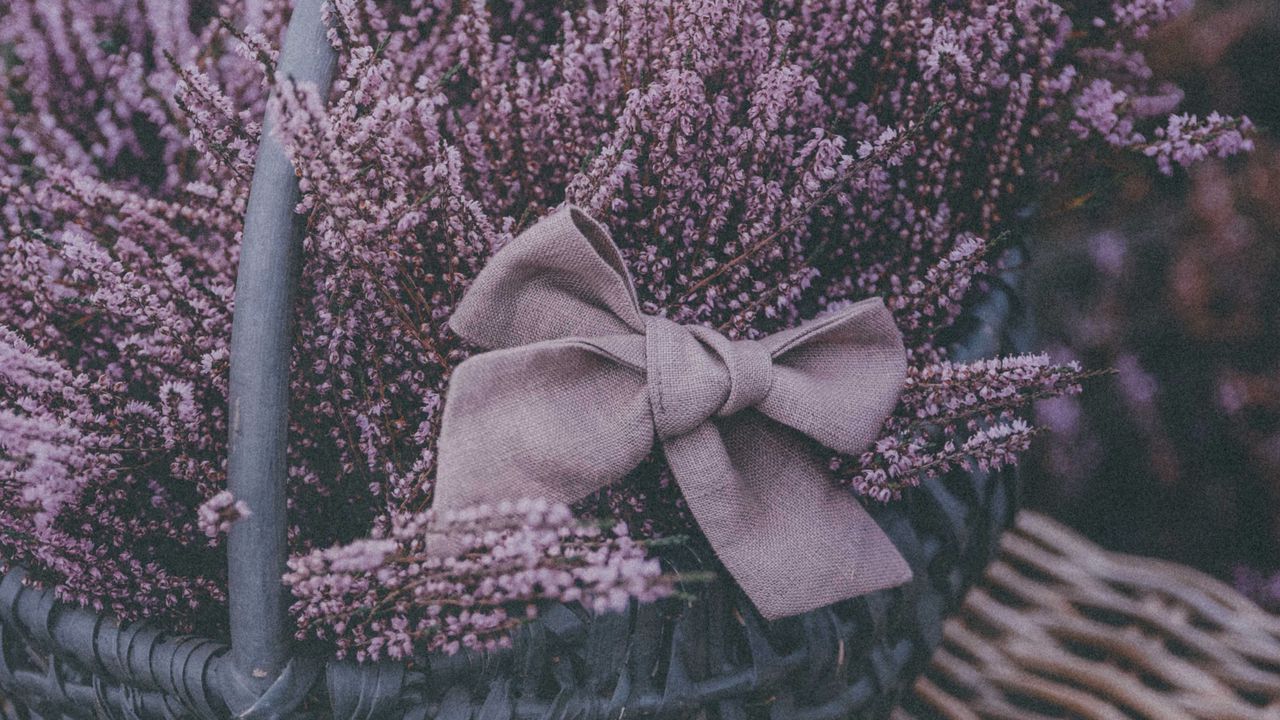 Wallpaper basket, lavender, flowers, purple, bow