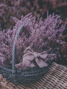 Preview wallpaper basket, lavender, flowers, purple, bow