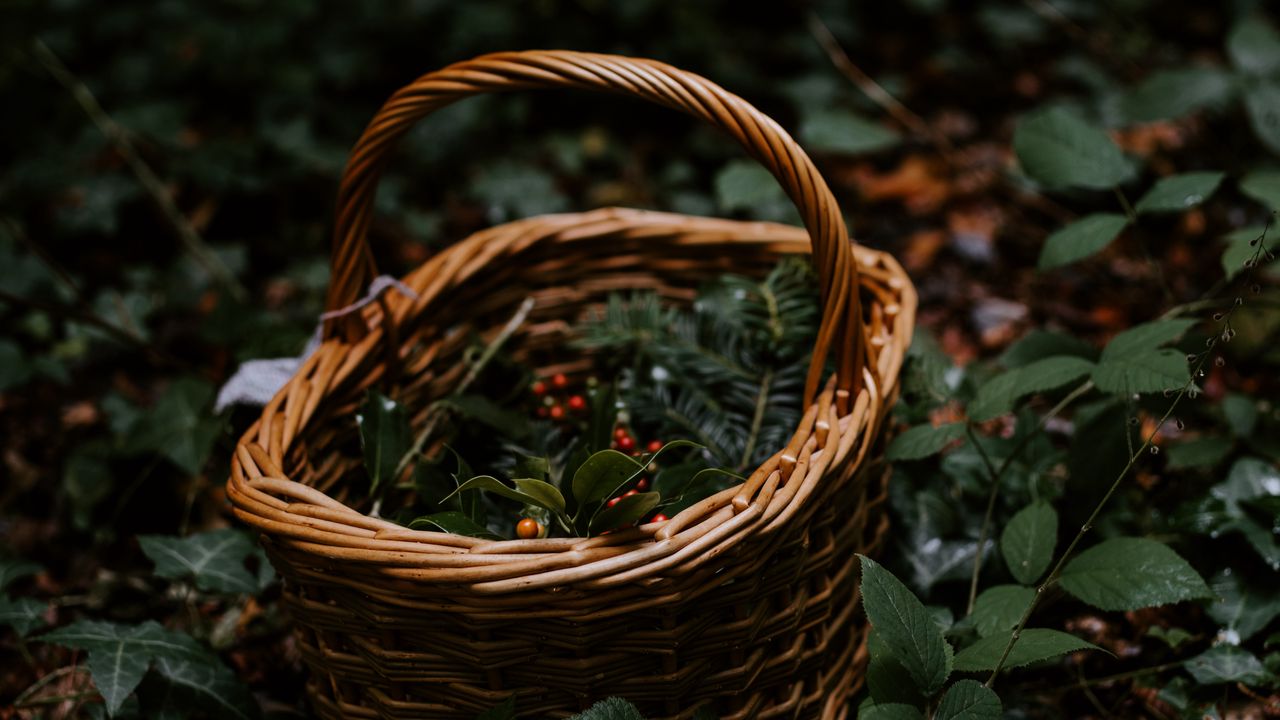 Wallpaper basket, wicker, berries, branches, nature