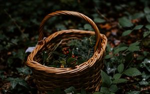 Preview wallpaper basket, wicker, berries, branches, nature
