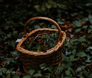 Preview wallpaper basket, wicker, berries, branches, nature