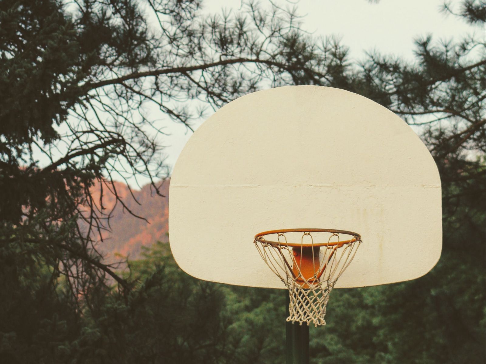 Download wallpaper 1600x1200 basketball, backboard, basketball hoop