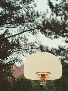 Preview wallpaper basketball, backboard, basketball hoop, net, branches