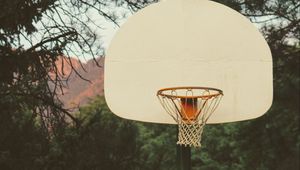 Preview wallpaper basketball, backboard, basketball hoop, net, branches