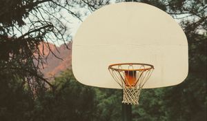 Preview wallpaper basketball, backboard, basketball hoop, net, branches