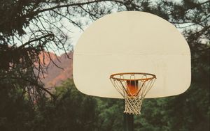 Preview wallpaper basketball, backboard, basketball hoop, net, branches