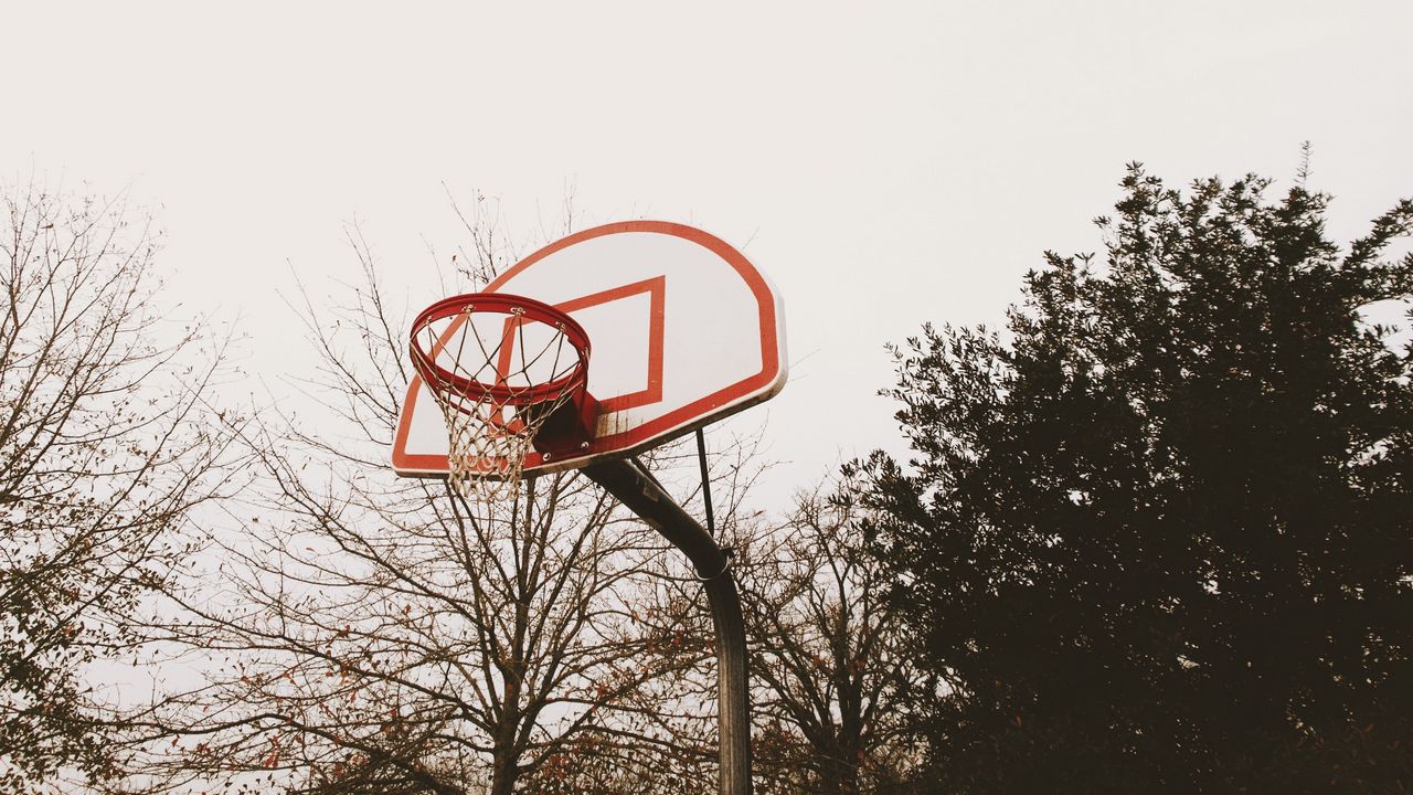 Wallpaper basketball backboard, basketball hoop, playground, trees