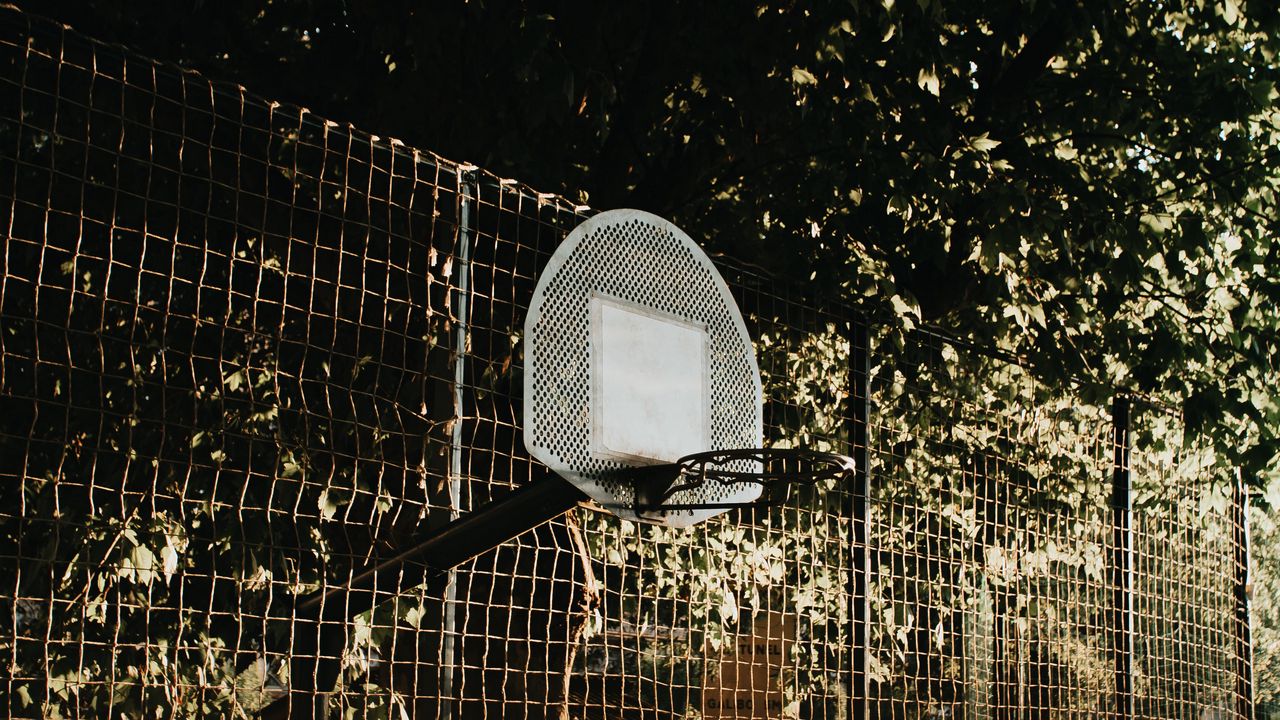 Wallpaper basketball, basketball backboard, mesh, trees