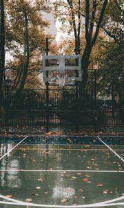Preview wallpaper basketball court, basketball, court, hoop, autumn