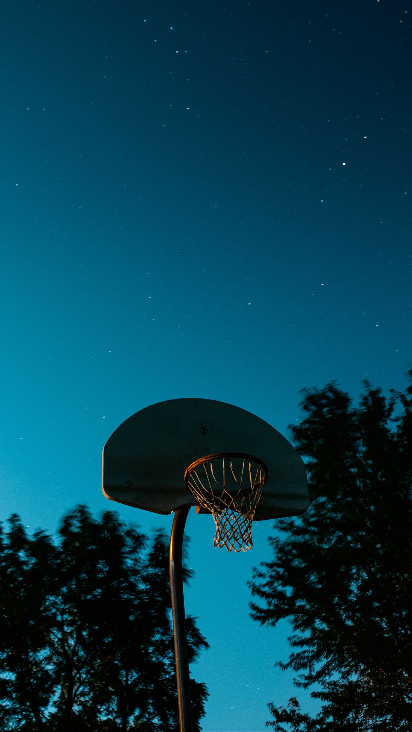 500 Basketball Hoop Pictures HD  Download Free Images on Unsplash