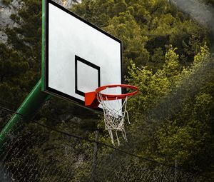 Preview wallpaper basketball hoop, basketball, playground, trees, sports