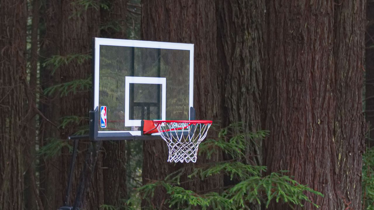 Wallpaper basketball hoop, net, basketball, sports, pine needles, trees