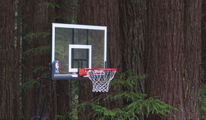 Preview wallpaper basketball hoop, net, basketball, sports, pine needles, trees