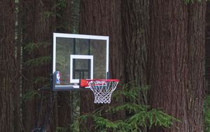 Preview wallpaper basketball hoop, net, basketball, sports, pine needles, trees