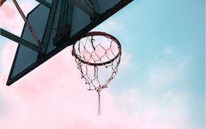Preview wallpaper basketball hoop, shield, net