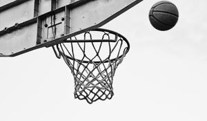 Preview wallpaper basketball, net, ring, bw