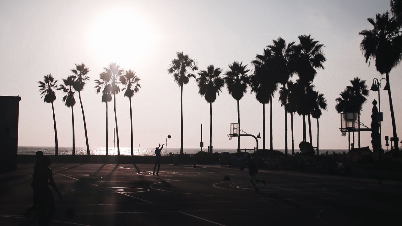 Wallpaper basketball, playground, dark, silhouettes, palm trees, sun