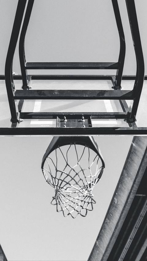 480x854 Wallpaper basketball, ring, mesh, bw
