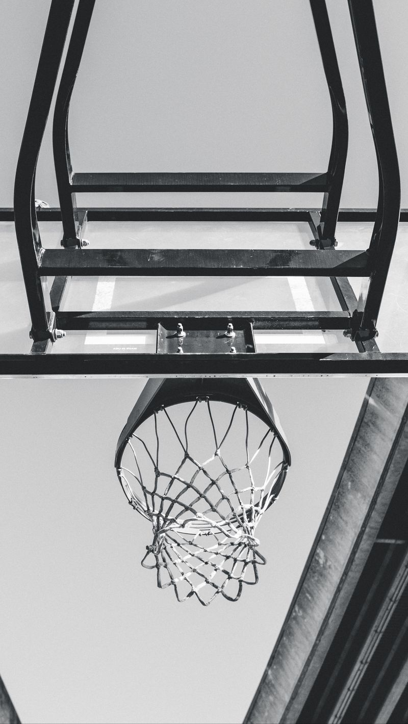 800x1420 Wallpaper basketball, ring, mesh, bw