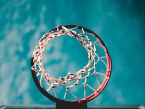 Preview wallpaper basketball ring, mesh, blur