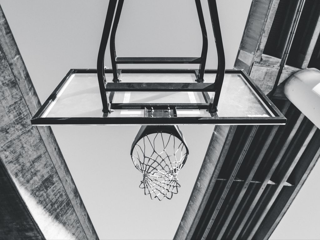 1024x768 Wallpaper basketball, ring, mesh, bw