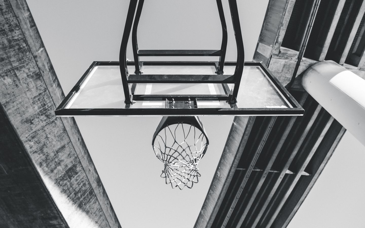 1440x900 Wallpaper basketball, ring, mesh, bw