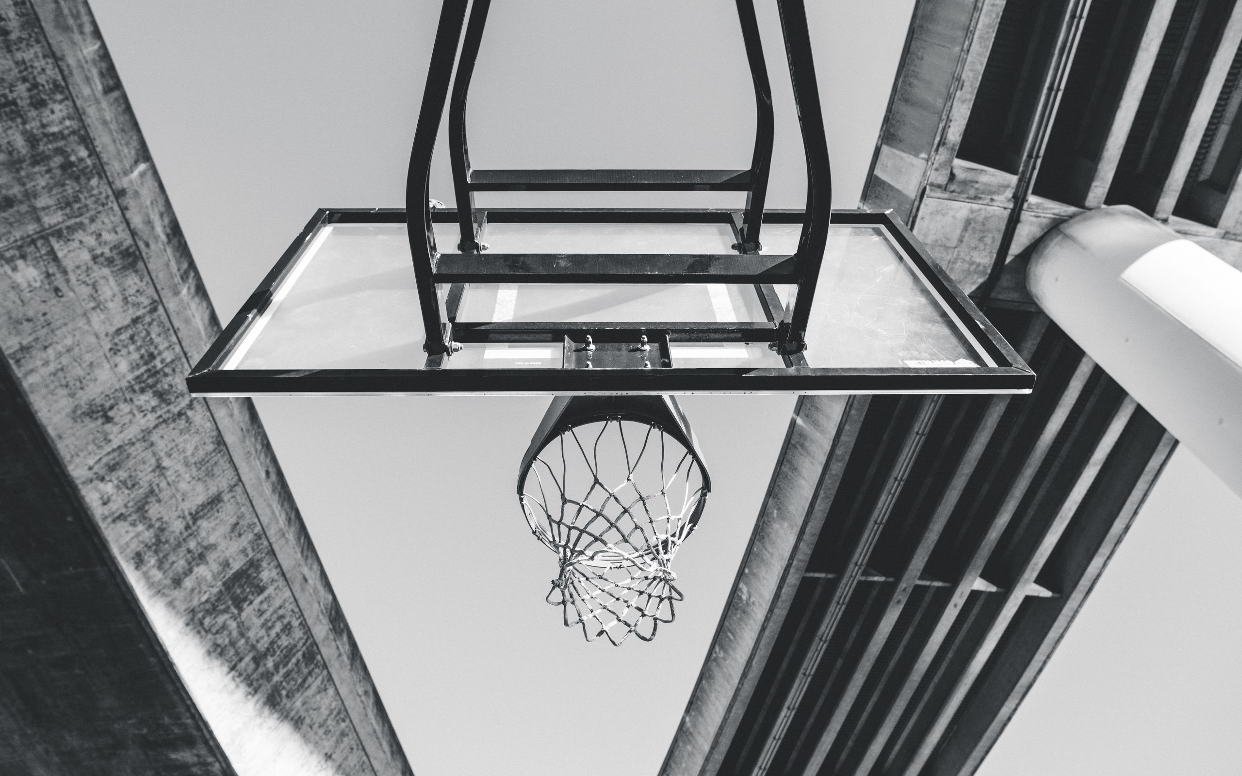 2560x1600 Wallpaper basketball, ring, mesh, bw