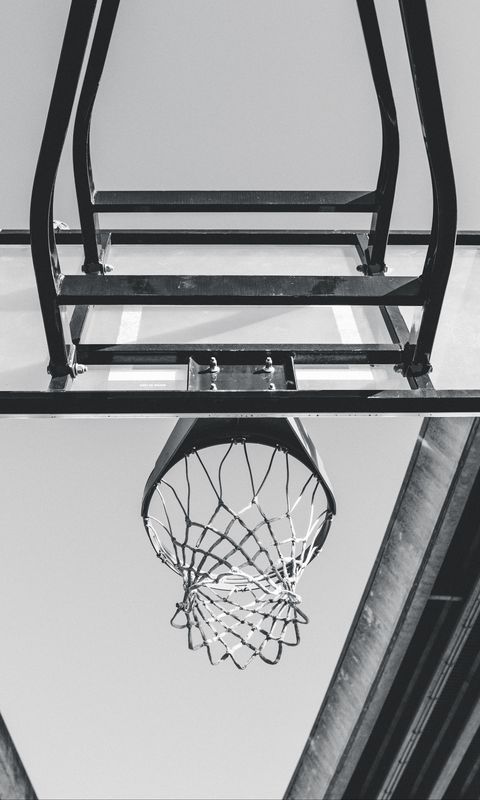 480x800 Wallpaper basketball, ring, mesh, bw