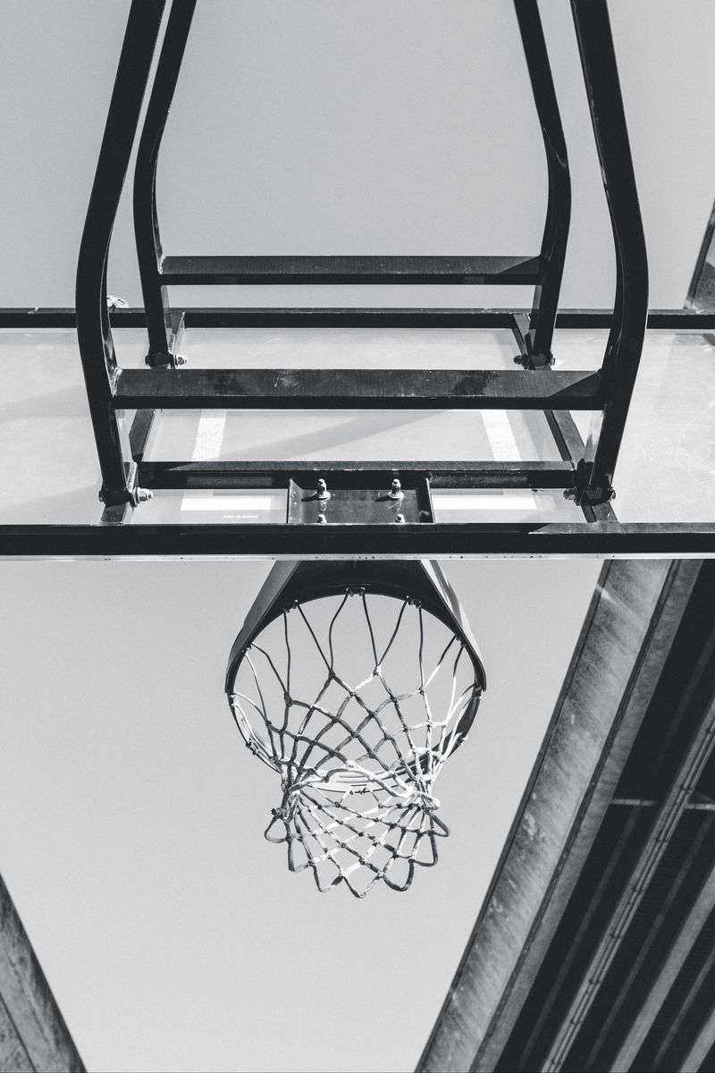 800x1200 Wallpaper basketball, ring, mesh, bw