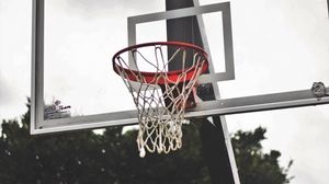 Preview wallpaper basketball shield, basketball, mesh