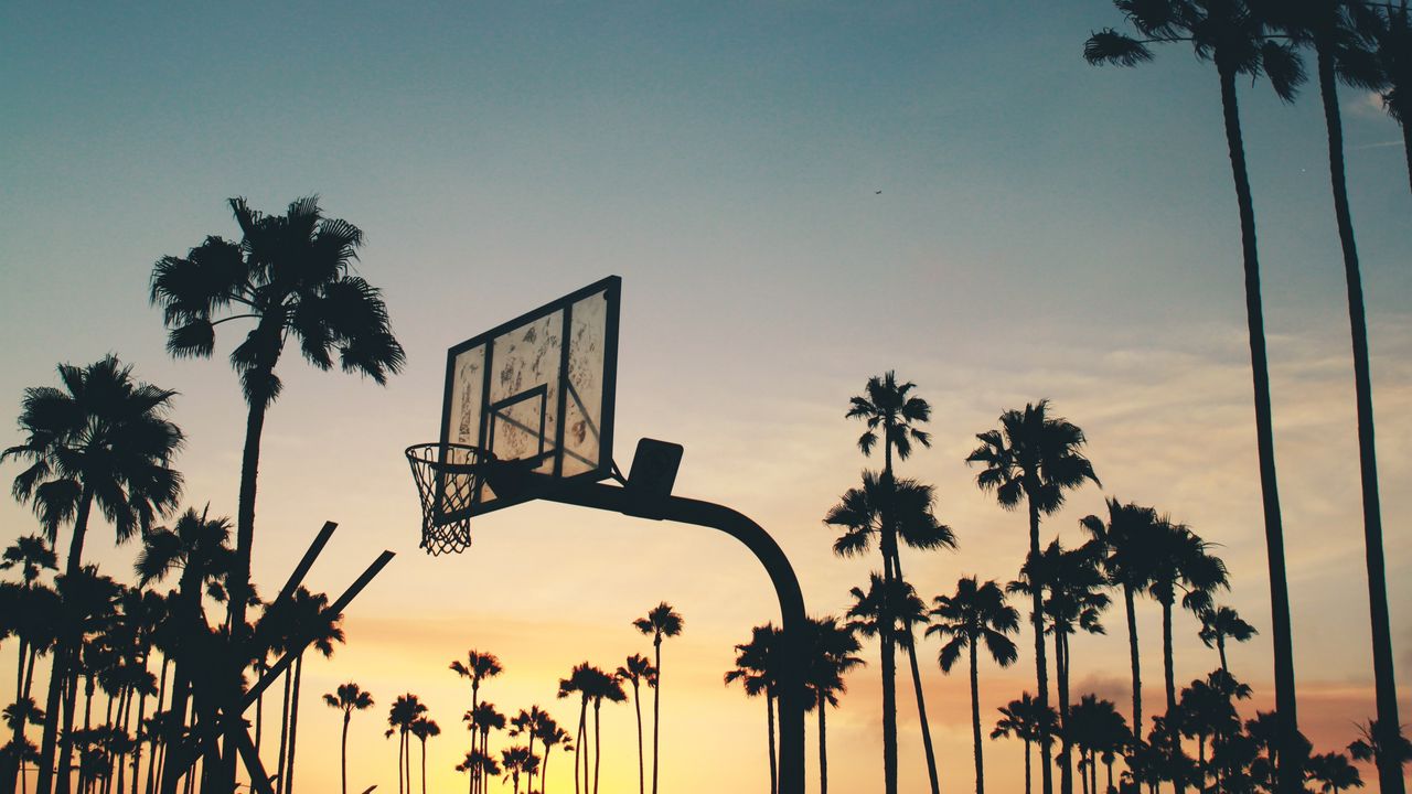 Wallpaper basketball stand, basketball, sports, silhouettes, palm trees