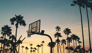 Preview wallpaper basketball stand, basketball, sports, silhouettes, palm trees