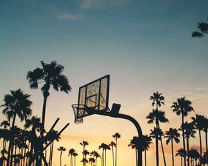 Preview wallpaper basketball stand, basketball, sports, silhouettes, palm trees