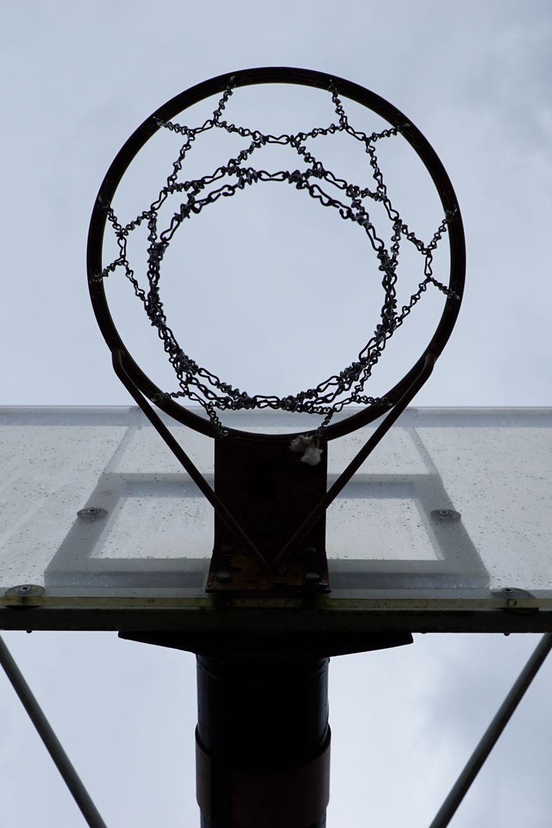 800x1200 Wallpaper basketball stand, net, chains, basketball, sports