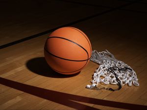 Preview wallpaper basketball, whistle, mesh, sports