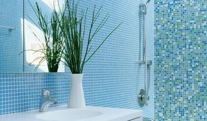 Preview wallpaper bathroom, vase, plant