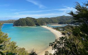 Preview wallpaper bay, coast, beach, new zealand