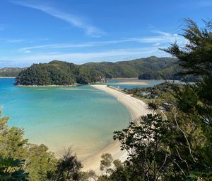 Preview wallpaper bay, coast, beach, new zealand