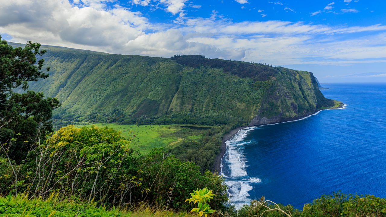 Wallpaper bay, coast, sea, nature