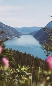 Preview wallpaper bay, mountains, forest, water, landscape