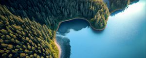 Preview wallpaper bay, sea, trees, forest, aerial view