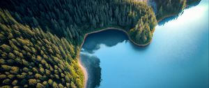 Preview wallpaper bay, sea, trees, forest, aerial view
