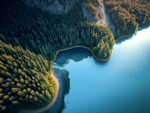 Preview wallpaper bay, sea, trees, forest, aerial view