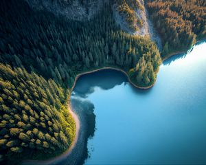 Preview wallpaper bay, sea, trees, forest, aerial view