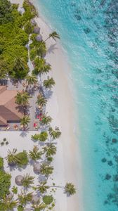 Preview wallpaper beach, aerial view, palm trees, structure