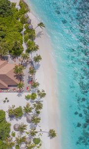 Preview wallpaper beach, aerial view, palm trees, structure