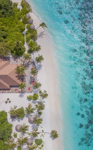 Preview wallpaper beach, aerial view, palm trees, structure