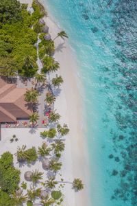 Preview wallpaper beach, aerial view, palm trees, structure